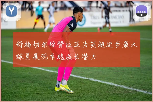 舒梅切尔称赞拉亚为英超进步最大球员展现卓越成长潜力